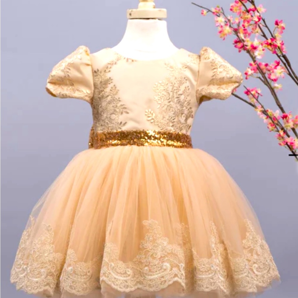 Used-  Itty Bitty Toes Tisha dress